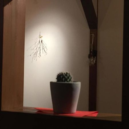 Kinosaki Knot Female Only Dormitory - Vacation Stay 25710V Toyooka  Exterior foto